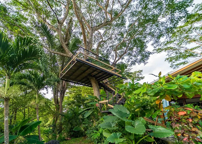 Casa árboles * Sámara