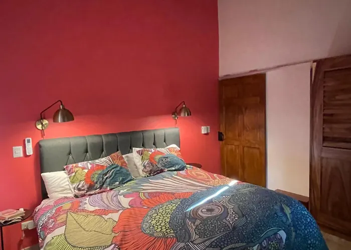 Casa árboles *